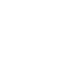 Arbitrum Orbit dark icon