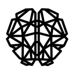 Big Brain Holdings dark icon