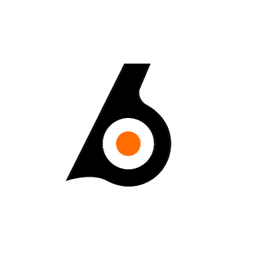 Birdeye.so dark icon
