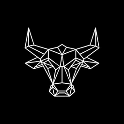 Bitoro dark icon