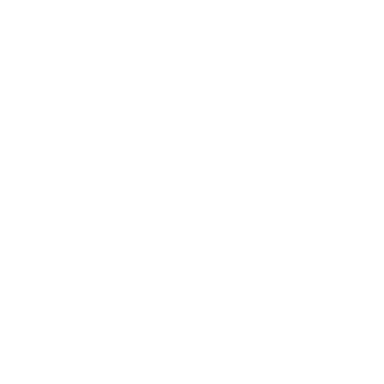 Bttcscan dark wordmark