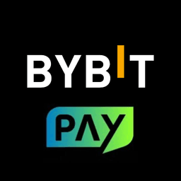 Bybit Pay light icon