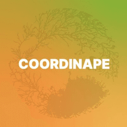 Coordinape light icon