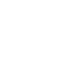 Culture Vault light icon