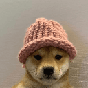 dogwifhat (WIF) dark icon