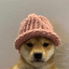 dogwifhat (WIF)