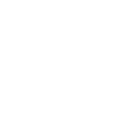 EVM Toolkit dark icon