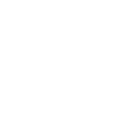 Lineascan dark wordmark