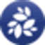NKN (NKN)