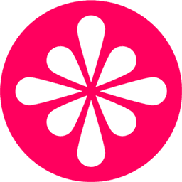 Polkaswap light icon