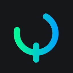 Quick Intel dark icon