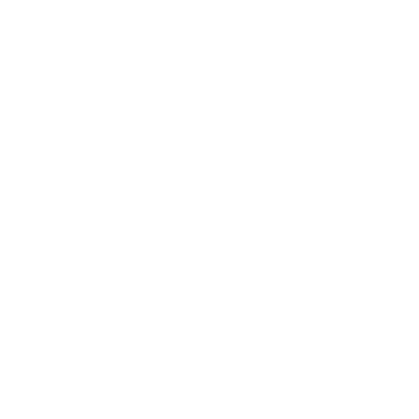 Seiscan dark wordmark