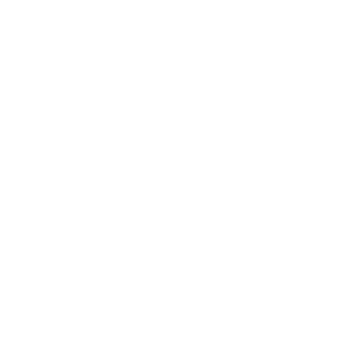 Sonicscan dark wordmark
