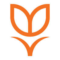 Tulipa Capital light icon