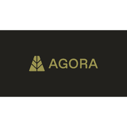 Agora Finance light wordmark