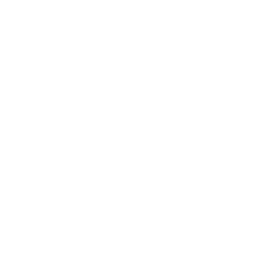 Litecoin (LTC) dark wordmark