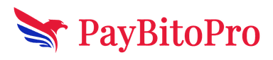 PayBito light wordmark